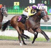 Kobe Top Gun<br>Photo by Singapore Turf Club